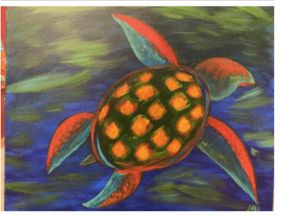 Sea Turtle