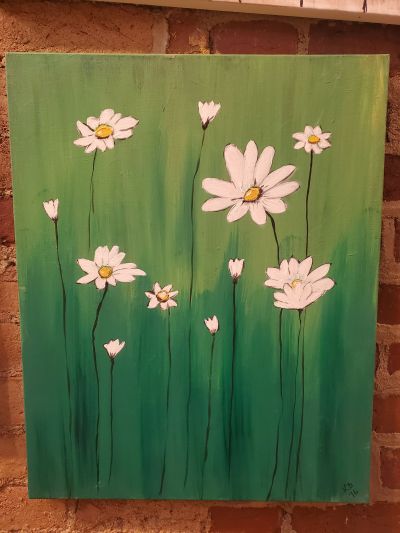 Wild Daisys