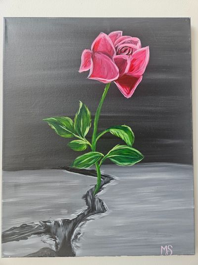 Rose breaking ground